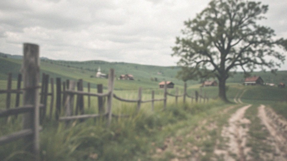 Jakie są relacje rodzinne Witolda Gadowskiego?