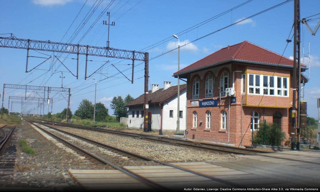 Udany egzamin na stopień żeglarza jachtowego w Wąbrzeźnie